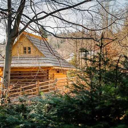 Sopki Stopki Polana Wspolna *