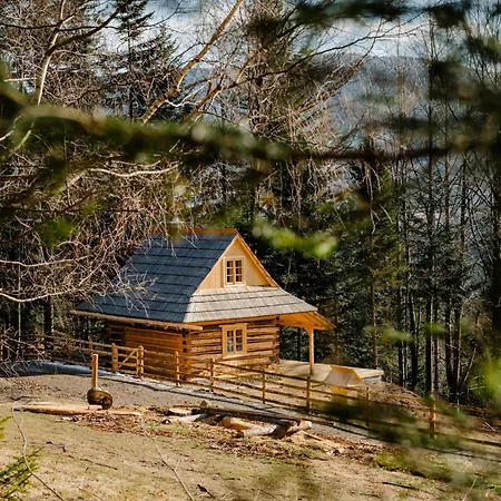 Sopki Stopki Polana Wspolna *