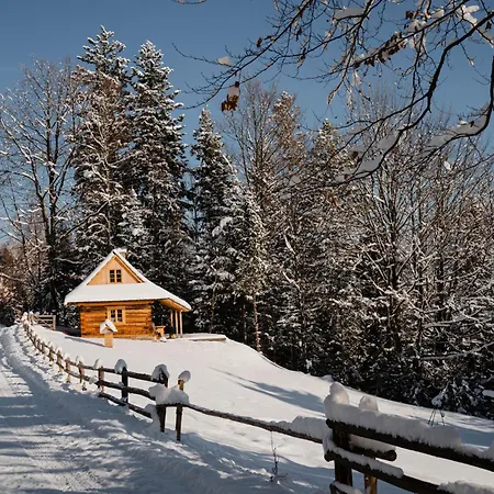Sopki Stopki Polana Wspolna Chalet Ciecina