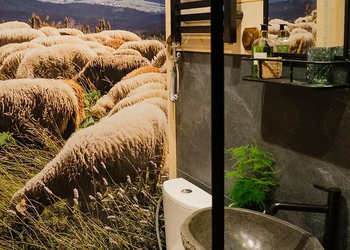 Sopki Stopki Polana Wspolna בקתה *