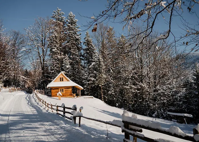 Sopki Stopki Polana Wspolna Σαλέ Ciecina